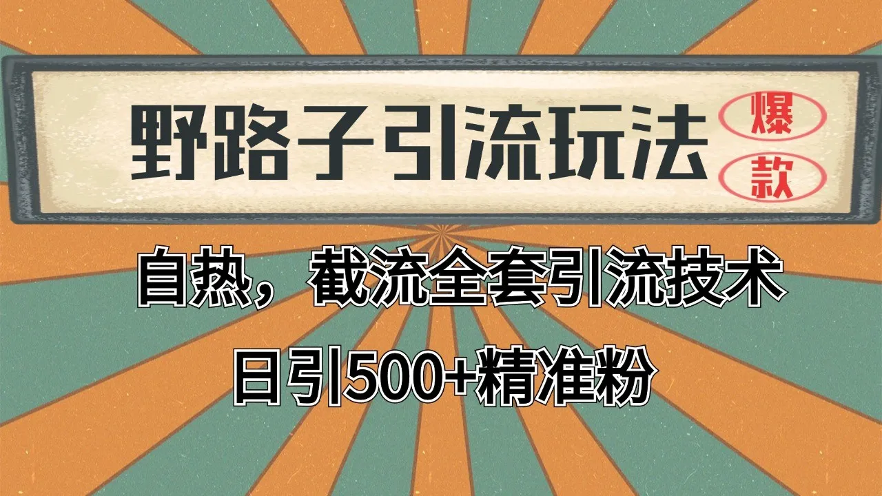 2024首发野路子引流玩法截流自热全平台打法,全自动引流【日引2000+精准客户】