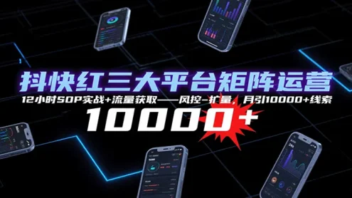 抖快红三大平台矩阵运营，12小时SOP实战+流量获取-风控-扩量，月引10000+线索